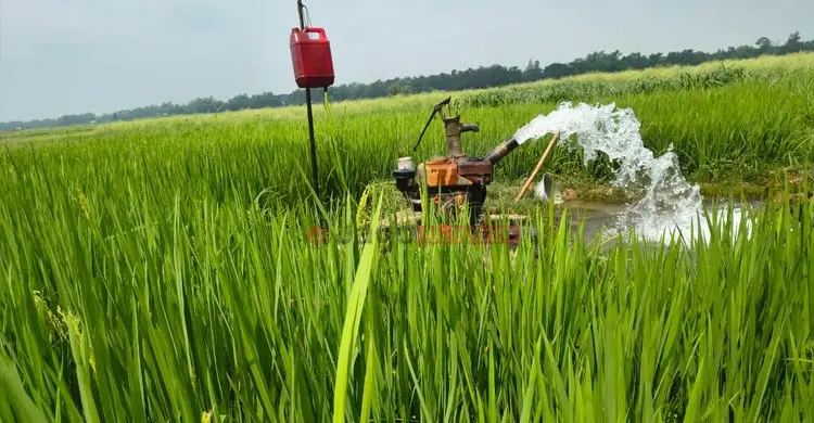 লোডশেডিং-ডিজেল সংকটে কপাল পুড়ছে কৃষকের