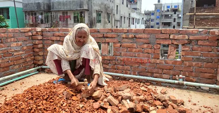 জনমদুখী আনোয়ারার খাবার-ওষুধের খরচ চলে ইট ভেঙে