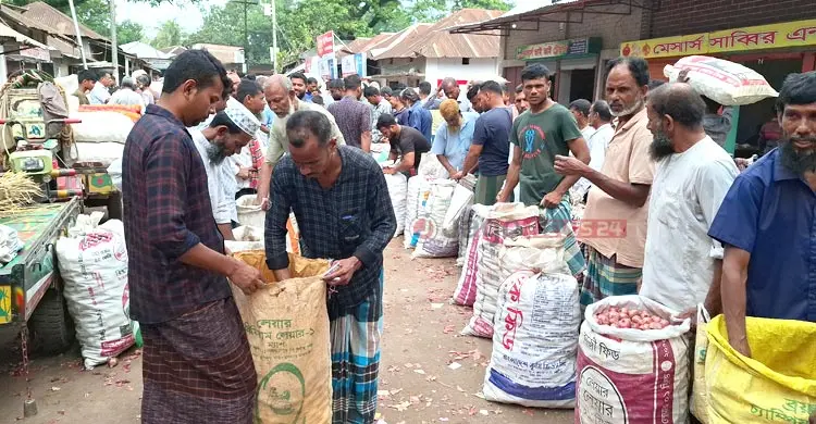 পেঁয়াজের ‘ধলতায়’ পুড়ছে কৃষকের কপাল