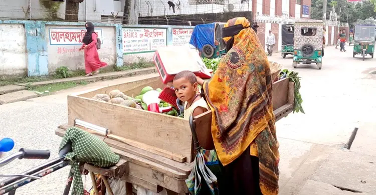 ভ্যানভর্তি সবজি মাঝে ছোট্ট আয়েশাকে নিয়ে মা শিউলি বেগমের সংগ্রামী জীবন