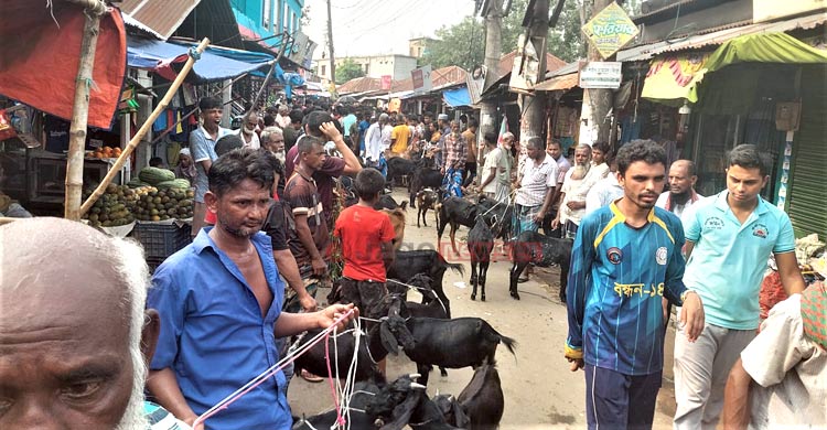 বগুড়ার হাটে হাটে ‘হাসিল সন্ত্রাস’
