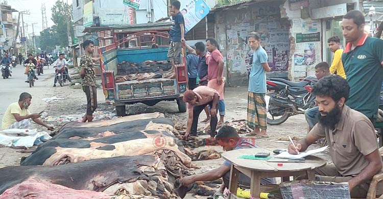 কোটি টাকার বকেয়ায় জিম্মি বগুড়ার চামড়া বাজার