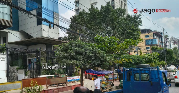 ঢাকায় সবুজ বিপ্লব