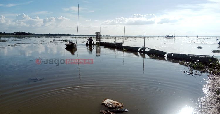 লুটপাটে বিপন্ন মৌলভীবাজারের প্রাণ-পরিবেশ