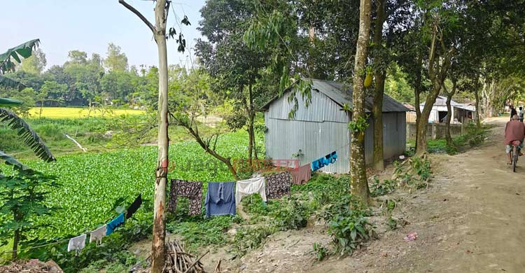 যৌবন হারিয়েছে আগেই, এখন প্রাণ যায় যায় অবস্থা আলাই নদীর