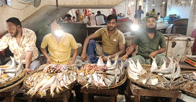 আড়তে ইলিশ কম ক্রেতা বেশি