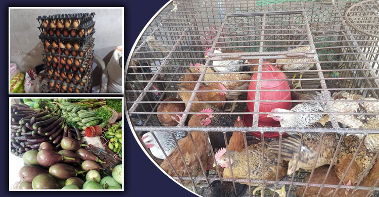 রংপুরে মুরগির দাম কমলেও চড়া ডিম-সবজি