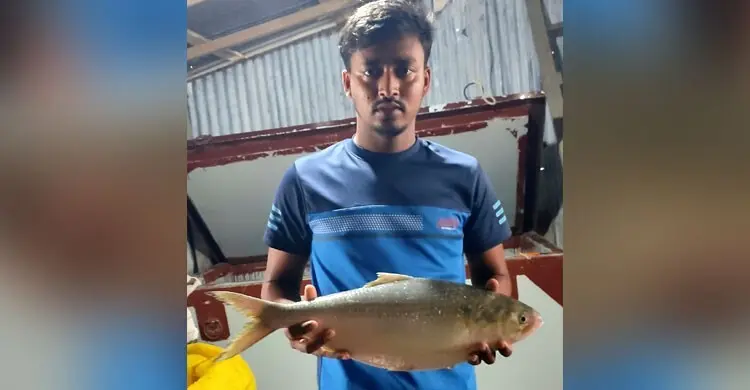 ১৫ হাজারে বিক্রি হলো এক ইলিশ