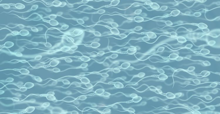 ঘুমের অভাবে কমে যেতে পারে শুক্রাণুর কোয়ালিটি