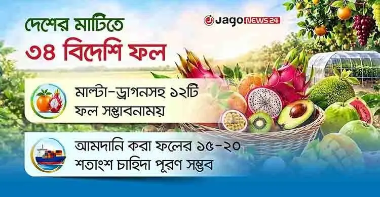 দেশের মাটিতে চাষ হওয়া বিদেশি ফল রপ্তানির হাতছানি