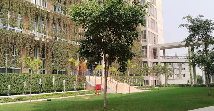 শ্রমিক যেখানে সবুজ বিপ্লবের স্বপ্নসারথি