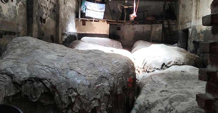 সরবরাহ কমায় চামড়ার লক্ষ্যমাত্রা পূরণে অনিশ্চয়তা
