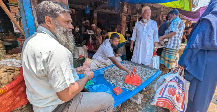 চড়া বাজারে নিম্ন-মধ্যবিত্ত আয়ের মানুষের ভরসা এখন চিংড়ি