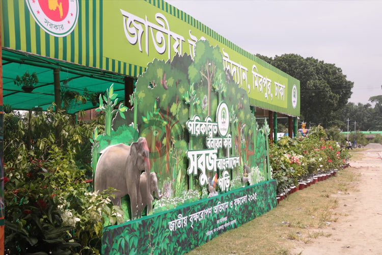 আপনি কি বনসাই প্রেমী? তাহলে জলদি করুন