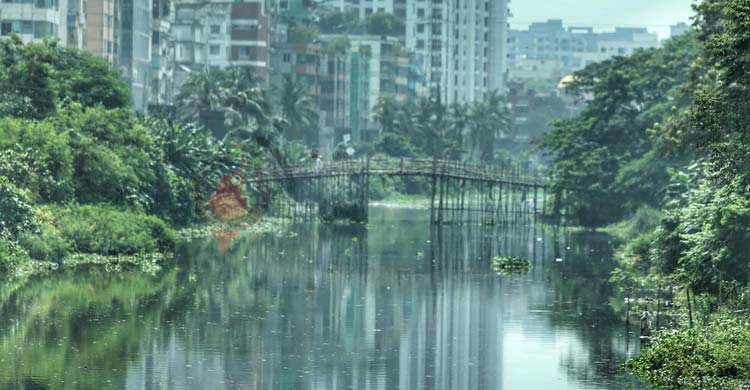 আফতাবনগর-বনশ্রীবাসীর কষ্ট কমাতে নড়াই নদীতে হবে ৩ সেতু
