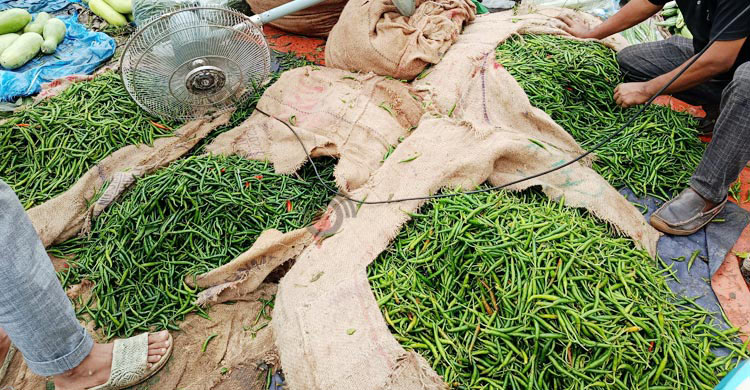 সবজির দামে পুড়ছে বাজার, ডিমের ডজন ১৫০