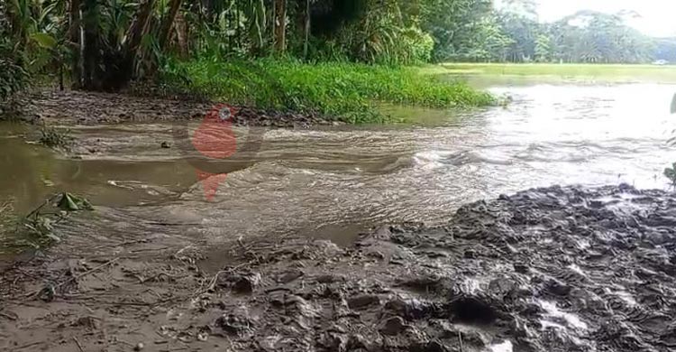 সড়কের অভাবে খাটিয়ায় করে রোগী বহন