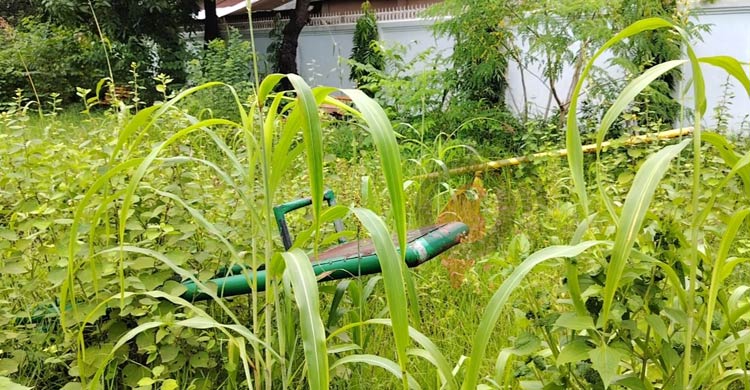 ঝোপঝাড়ে ছেয়ে গেছে ৭৭ লাখ টাকার শিশুপার্ক