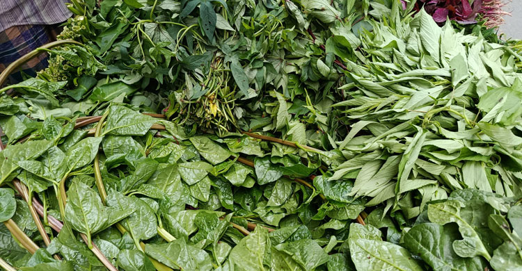 ৩০ টাকায় এক আঁটি লাল শাক