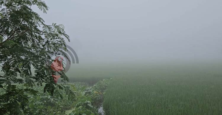 পঞ্চগড়ে কুয়াশাচ্ছন্ন ভোরের আকাশে শীতের হাতছানি