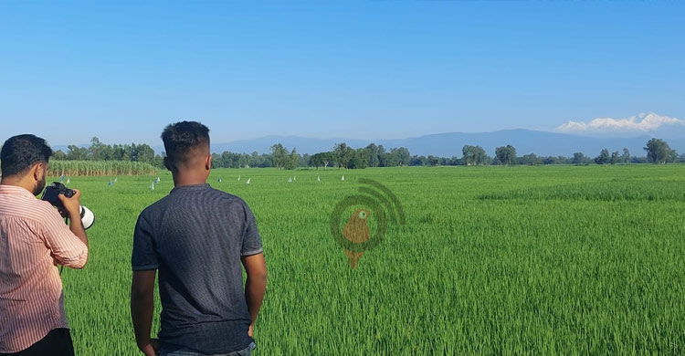 তেঁতুলিয়ার মেঘমুক্ত আকাশে উঁকি দিচ্ছে কাঞ্চনজঙ্ঘা