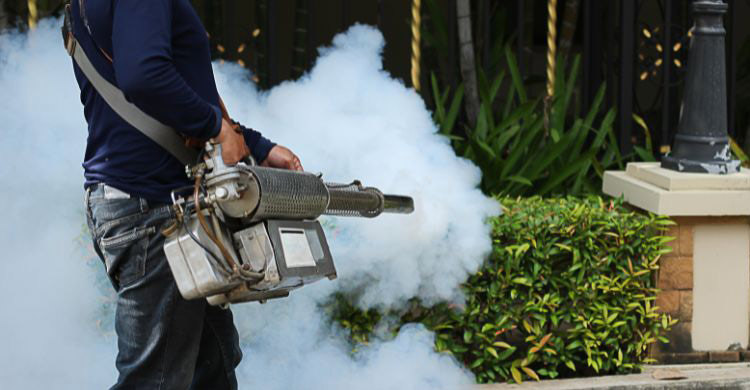 দ্বিতীয়বার ডেঙ্গু হওয়ার ঝুঁকি কতটা