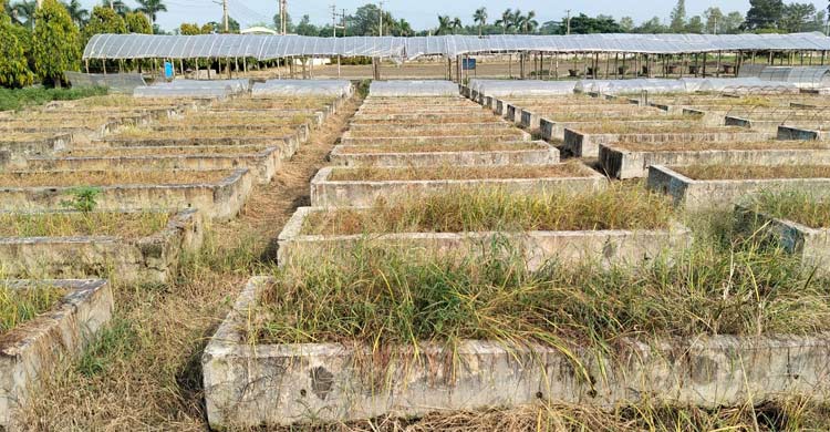 ল্যাবেই বন্দি উদ্ভাবন, প্রয়োগ নেই মাঠে