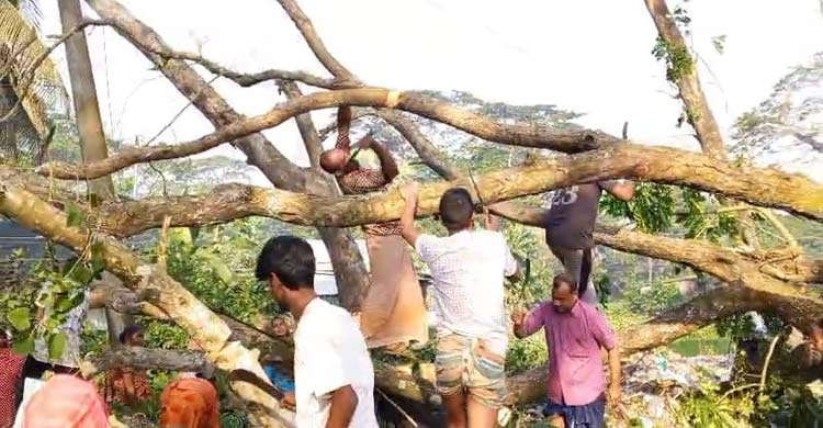 সাড়ে ৩ ঘণ্টা পর ঢাকা-বরিশাল মহাসড়কে যান চলাচল স্বাভাবিক