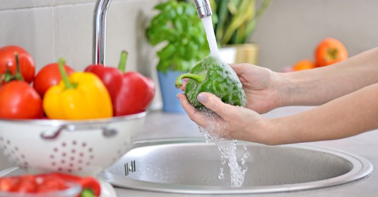 জাতীয় নিরাপদ খাদ্য দিবস/ ফল ও সবজি থেকে কীটনাশক দূর করবেন যেভাবে