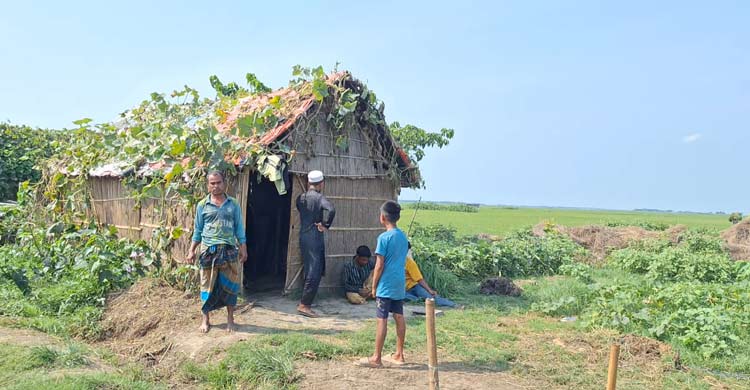 হাওরে পরিবারহীন জিরাতিদের জীবনে নেই ঈদের ছোঁয়া