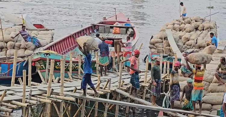 আলু চাষিদের ভাগ্য যেন উত্থান-পতনের গল্প