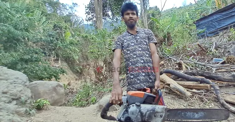 আলীকদমে অবাধে বন উজাড়, কমছে বন্যপ্রাণী