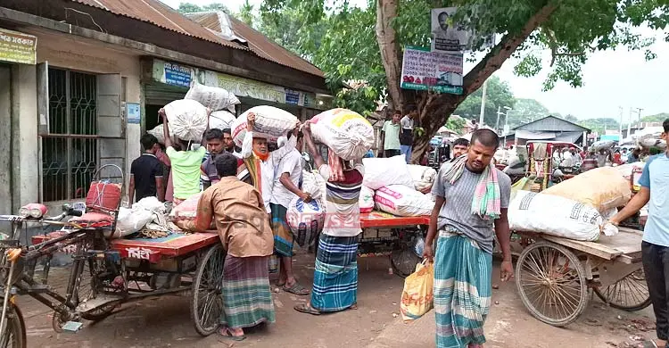 পেঁয়াজের ‘ধলতায়’ পুড়ছে কৃষকের কপাল