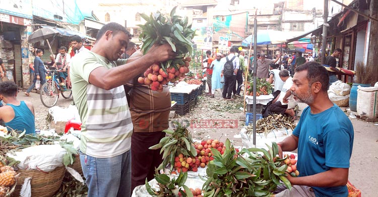 কেজিতে বিক্রি হচ্ছে লিচু, লাভ নাকি ক্ষতি