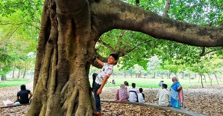 ছুটির দিনে প্রশান্তির খোঁজে রমনা পার্কে নগরবাসী