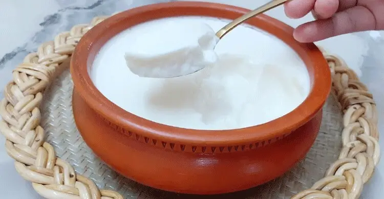 টক দই নষ্ট হয়েছে কি না বুঝবেন যেভাবে
