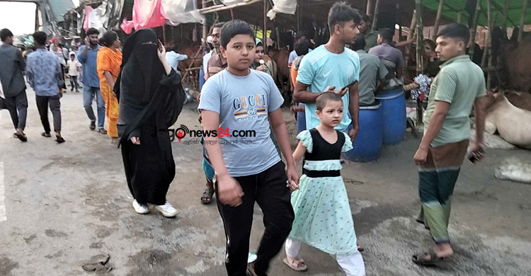রাজধানীতে জমে উঠছে পশু বেচাকেনা, ছোট ও মাঝারি গরুর চাহিদা বেশি
