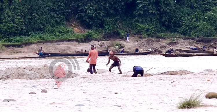 এক পাড়ের ‘নিয়ন্ত্রক‘ পদ হারালেও অন্যরা ধরাছোঁয়ার বাইরে
