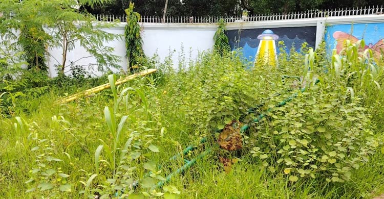 ঝোপঝাড়ে ছেয়ে গেছে ৭৭ লাখ টাকার শিশুপার্ক