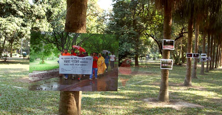 রমনা পার্কে চলছে আলোকচিত্র প্রদর্শনী