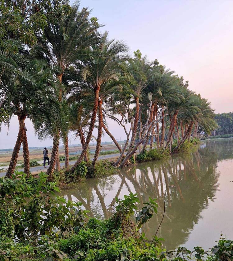 হেসে খেলে জীবনটা যদি চলে যায়