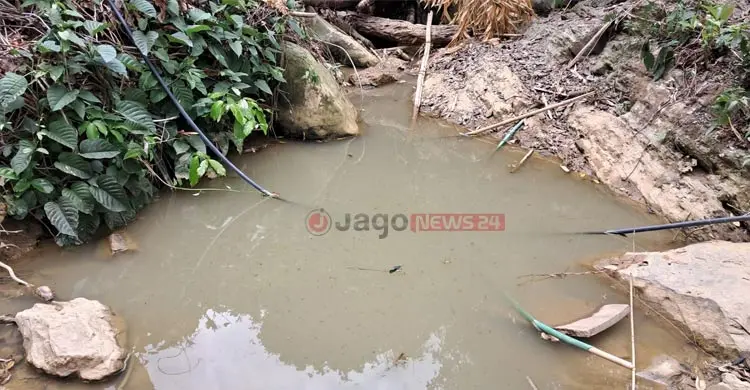 আলীকদমে অবাধে বন উজাড়, কমছে বন্যপ্রাণী