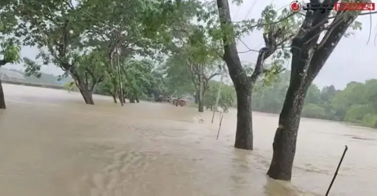 বন্যা মোকাবিলায় সাড়ে ৪ কোটি টাকা ও ৯ হাজার টন চাল বরাদ্দ