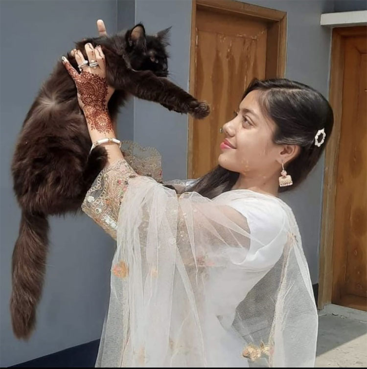 বিড়াল পুষলে কি মানসিক চাপ কমে
