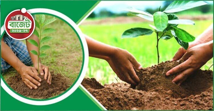 বৃক্ষরোপণের মাধ্যমে সাড়ে ৩ লাখ সবুজ কর্মসংস্থানের উদ্যোগ