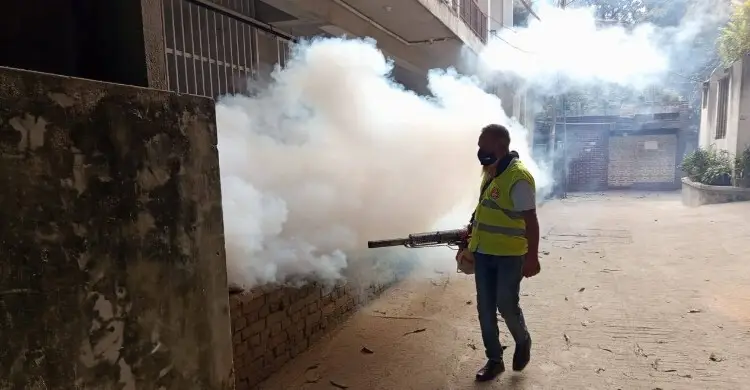 ঢাকায় মশার বিপৎসংকেত, মার্চে আরও বাড়বে উপদ্রব