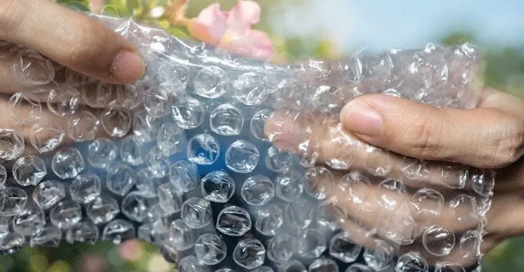 বাবল র‍্যাপ দেখলেই কেন ফাটাতে ইচ্ছা করে
