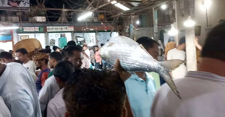 একদিনে মাছঘাটে এসেছে ৮০০ মণ ইলিশ