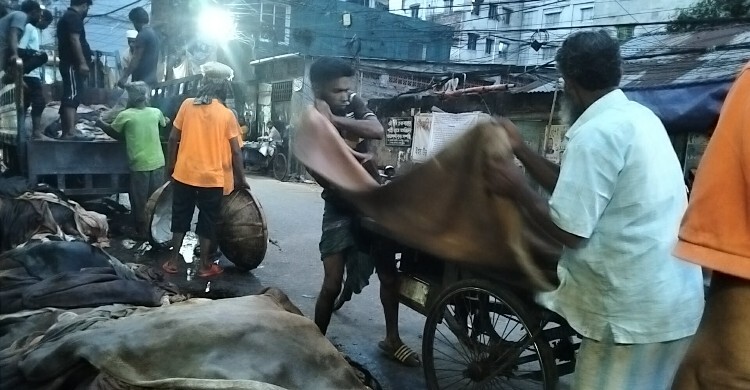 চামড়া সংগ্রহ ঘিরে কর্মব্যস্ত পোস্তা, দাম নিয়ে পরস্পরবিরোধী বক্তব্য