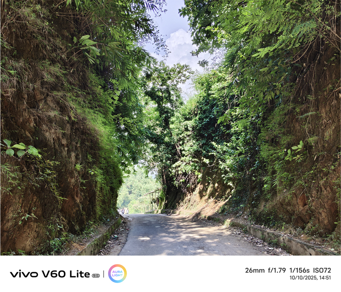 কক্সবাজারের পাহাড়